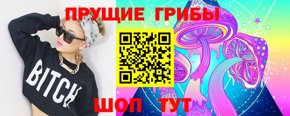 где можно купить   Вход с VPN  Азов  Галлюциногенные грибы Psilocybe 